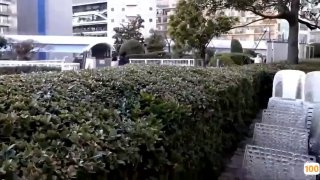 92岁爷爷还自慰🔞⭕❌⭕❌关于触手的日本动漫